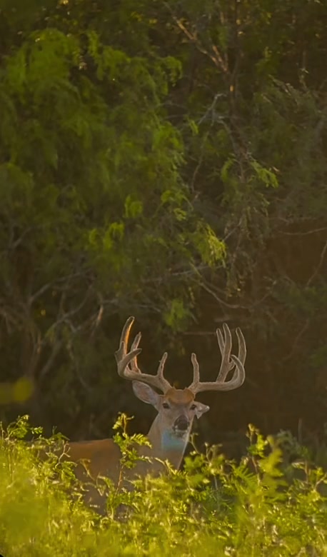 @Mellon Creek Outfitters