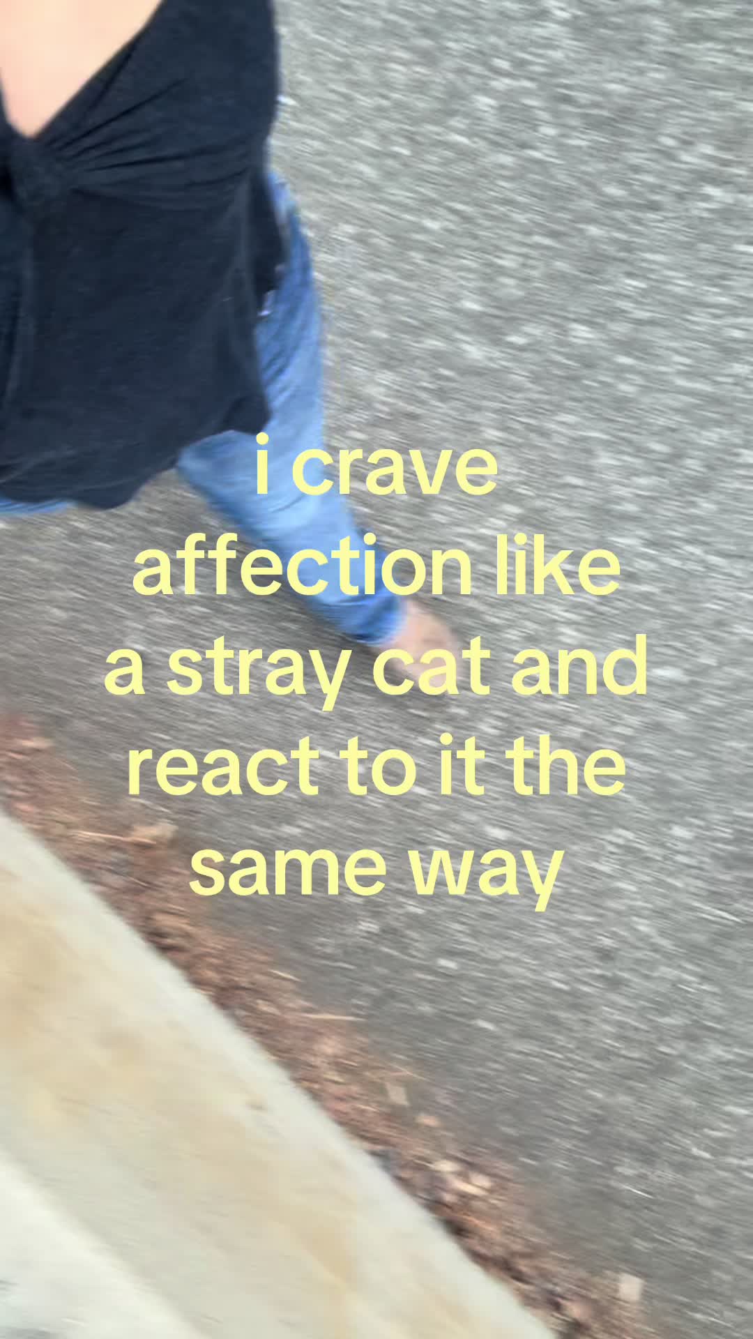 @jdog