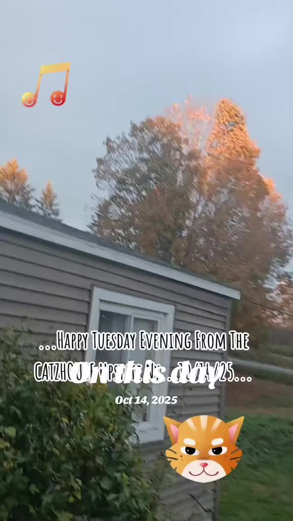 @Booh Hovey crazycatlady3