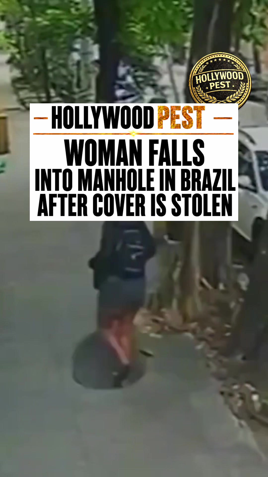 @hollywoodpest