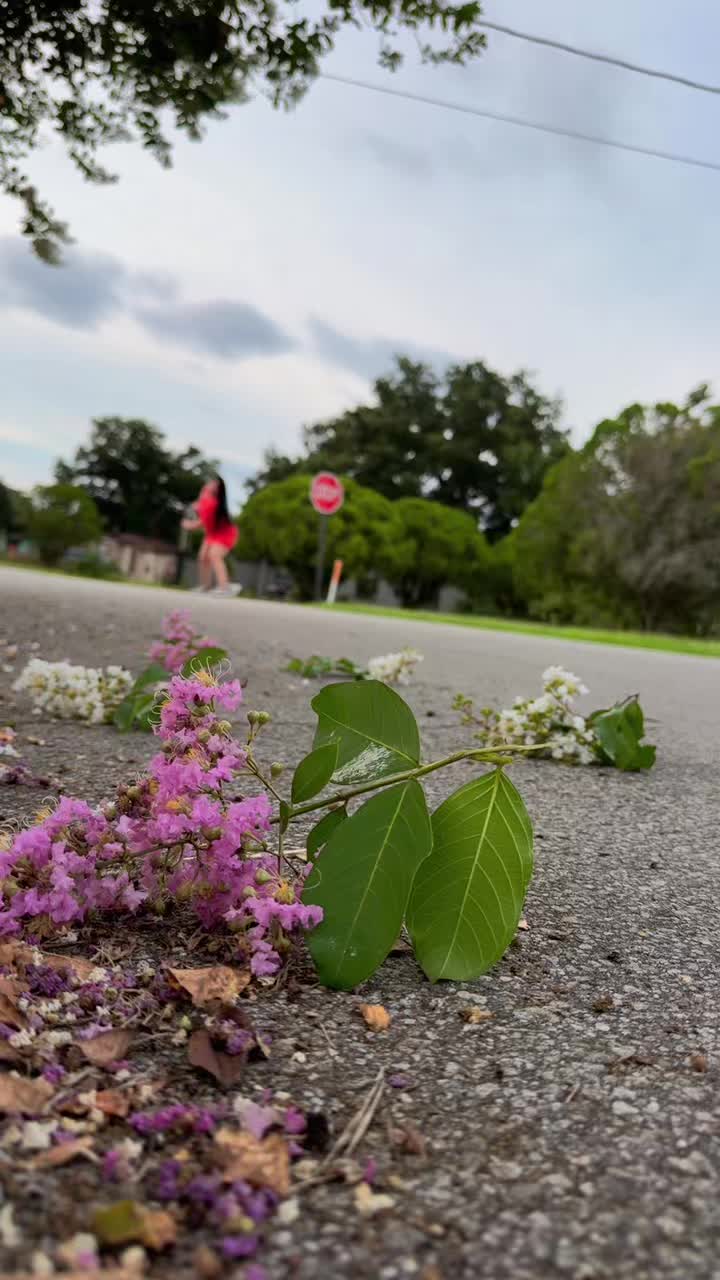 @Tita 🦋