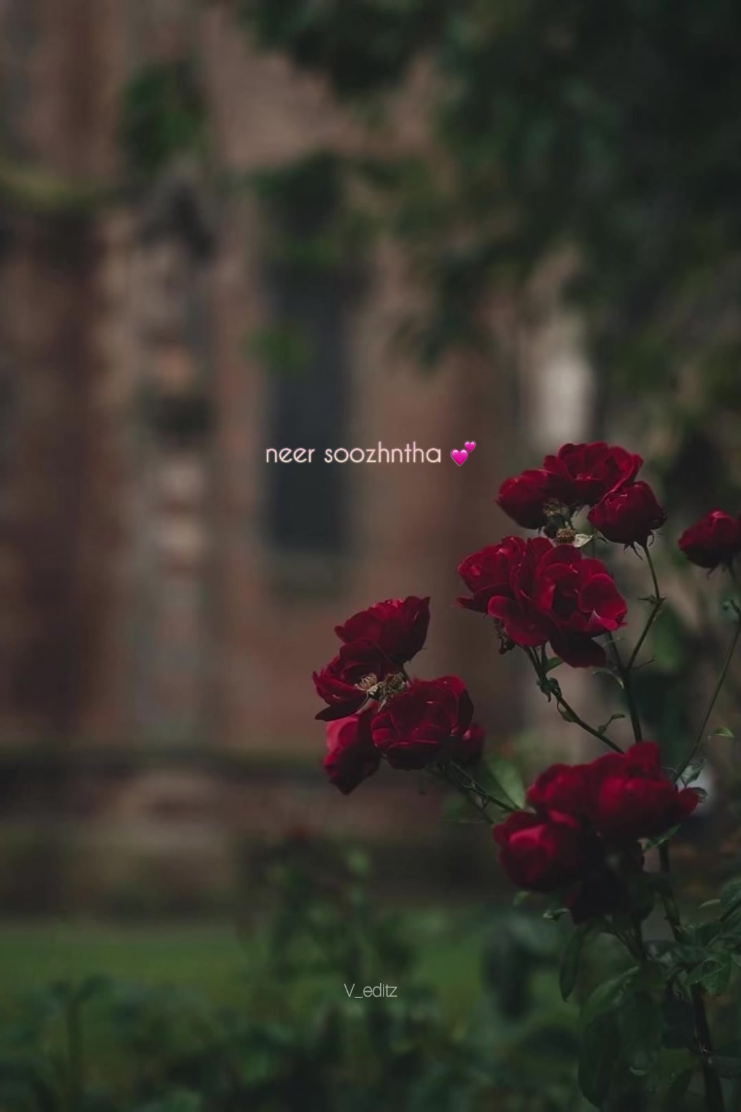 @V_editz