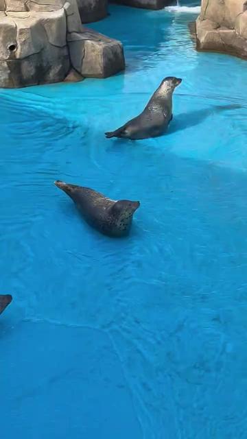 @Seal
