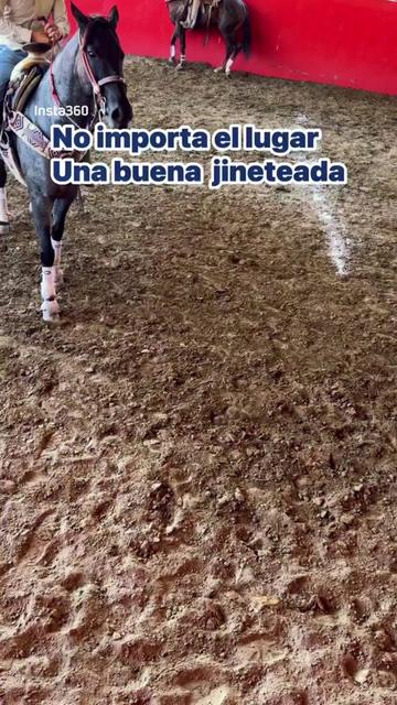 @Chavo