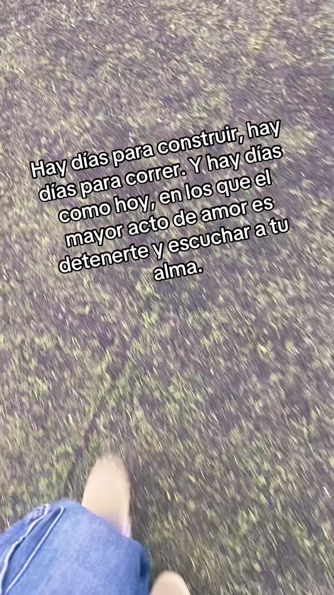 @Fabiola Castañeda