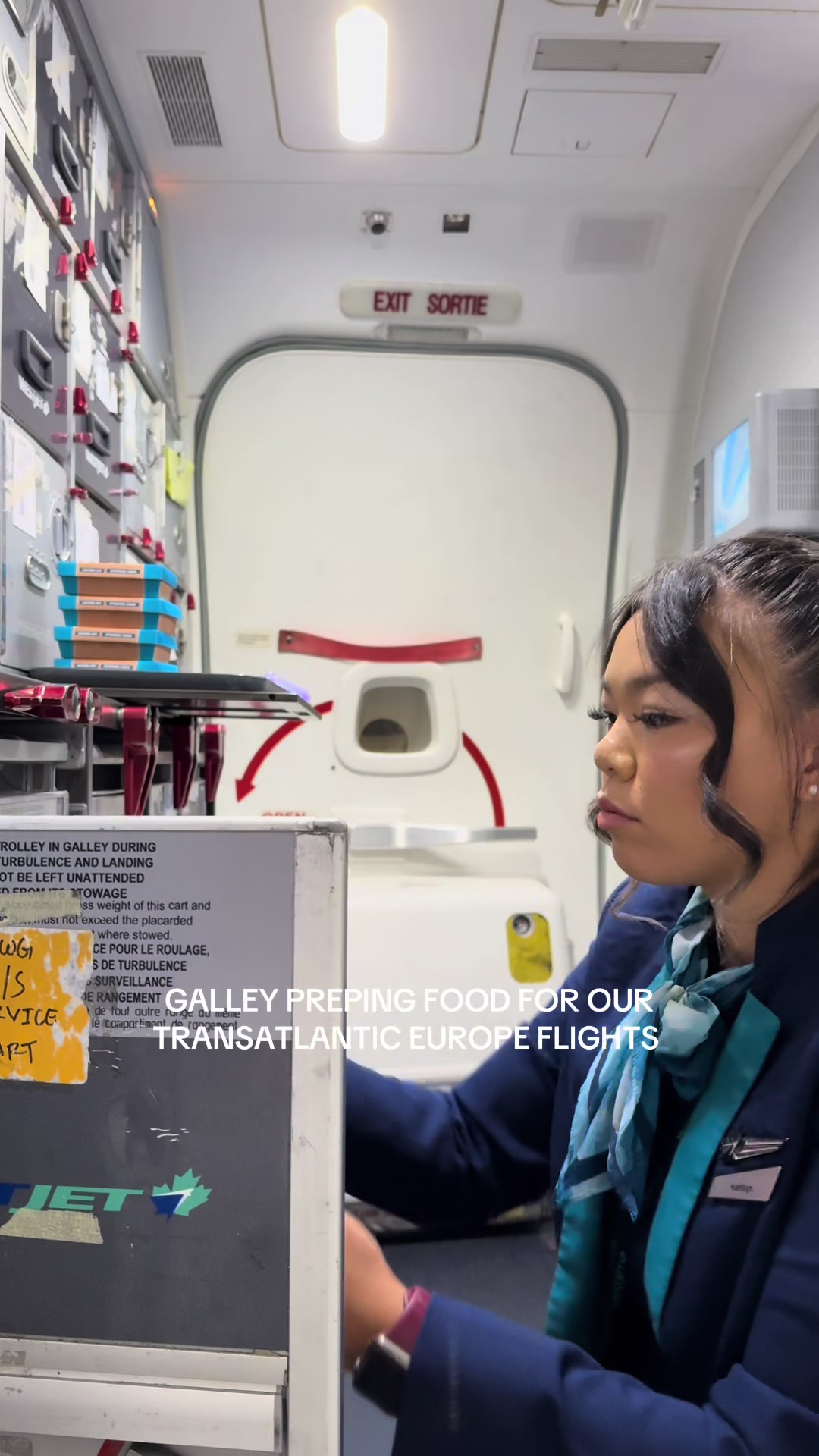 @Kaitlyn | Flight Attendant🦋✈️