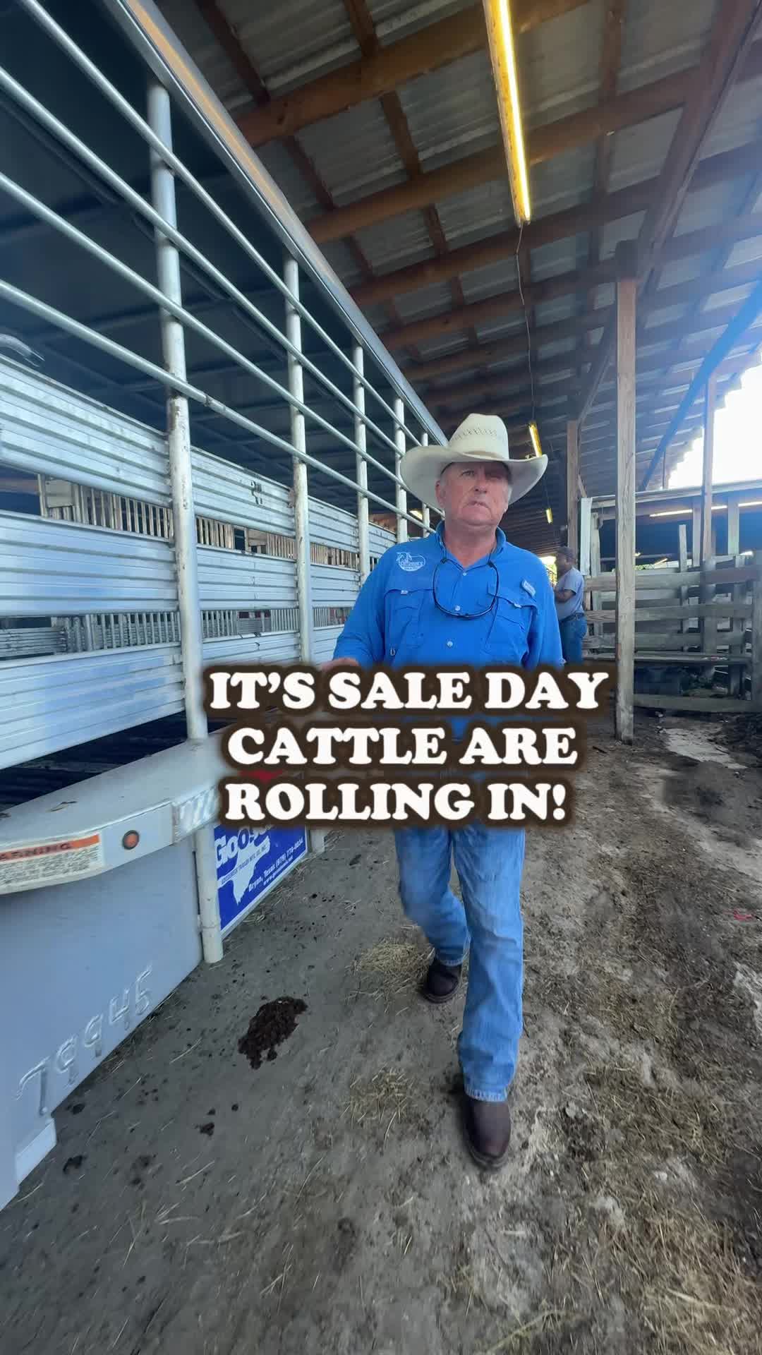 @Cattlemen’s Livestock Market