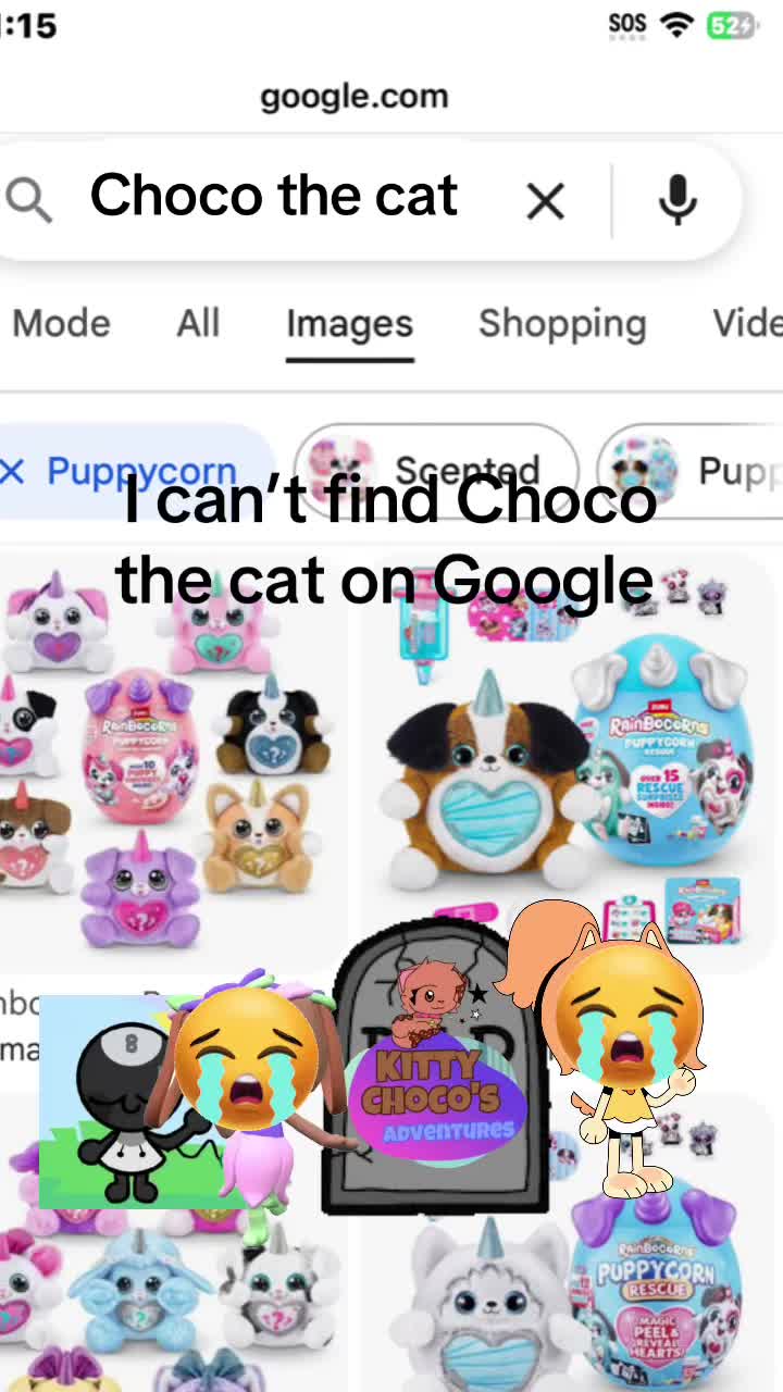 @Cocoa fan