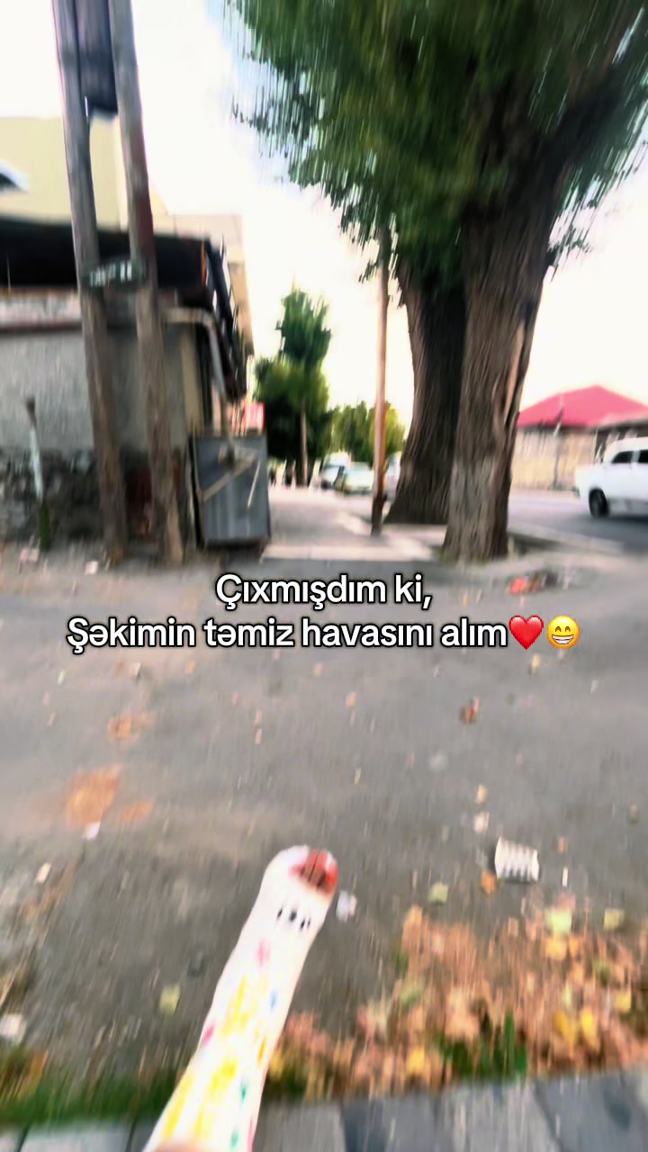 @gulu.sayağı