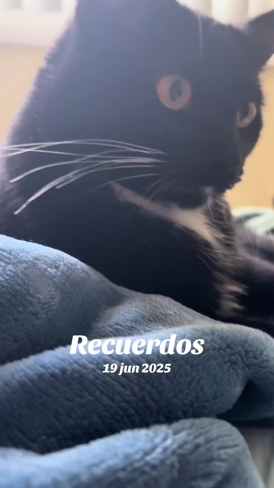 @Norberto Norberto Henríquez