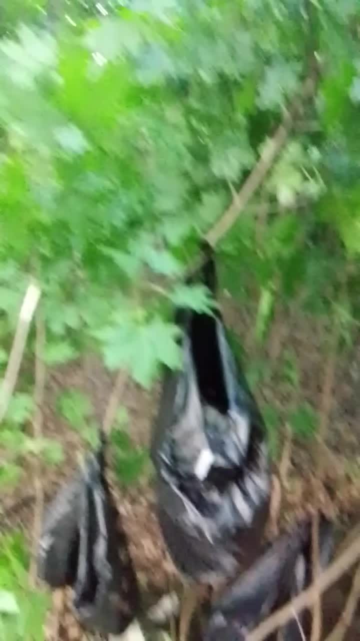 @дима