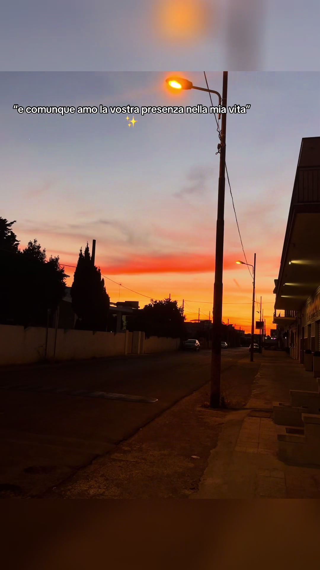 @elisa🥀✨️