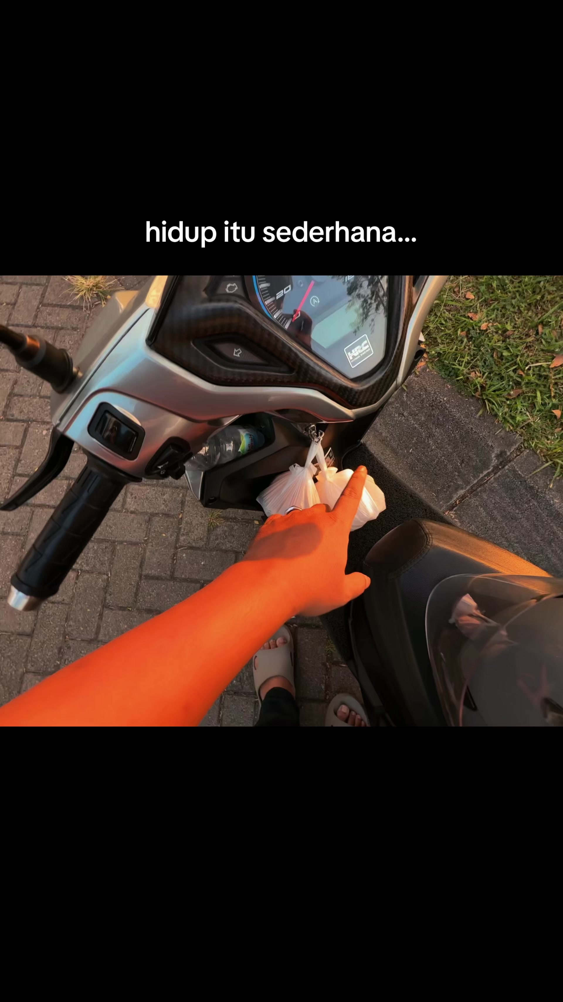 @snauporale