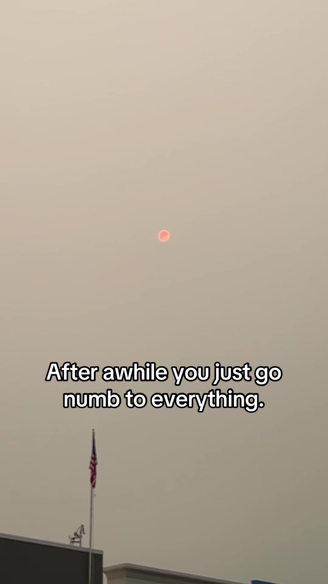 @Reese