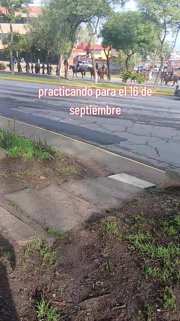 @Paloma Sandoval