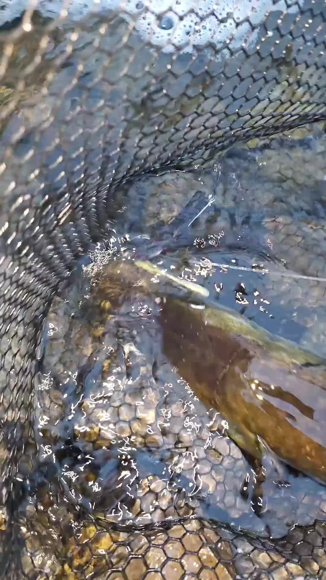 @FishingParadise