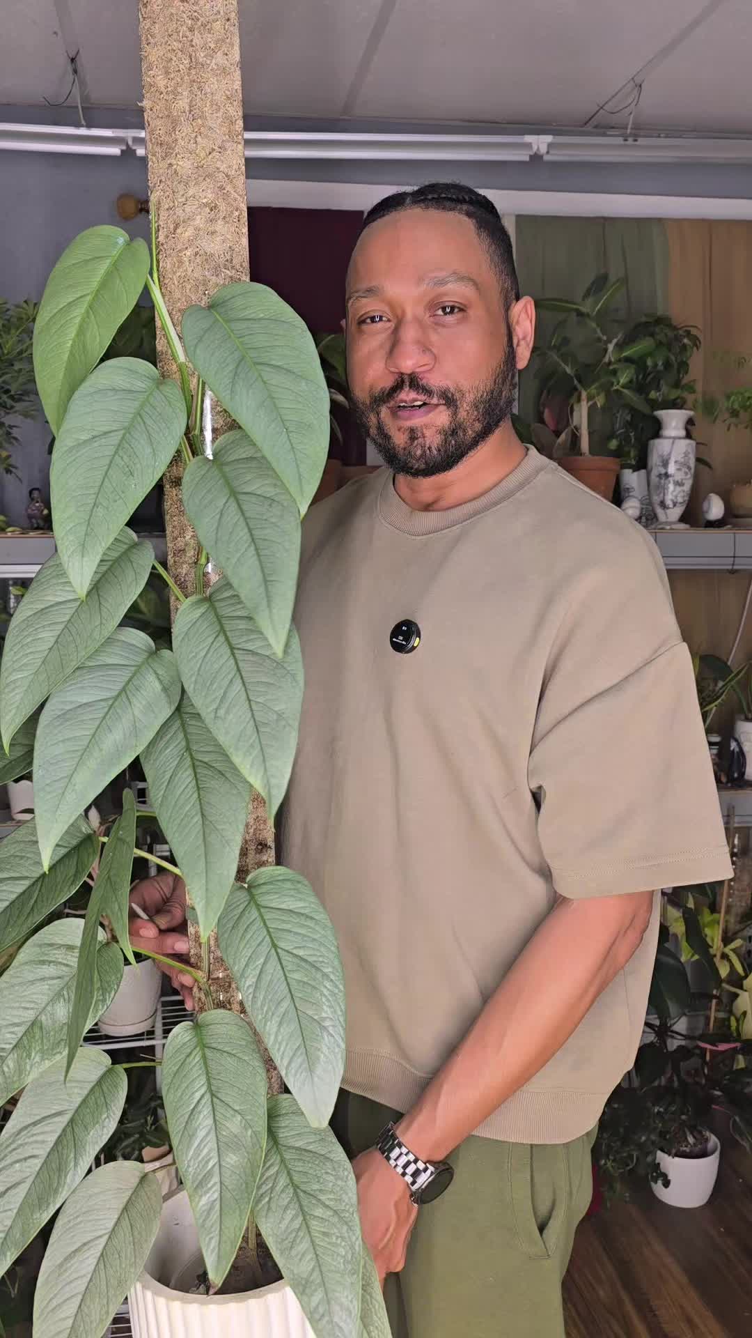 @JT - BigEGOPlants