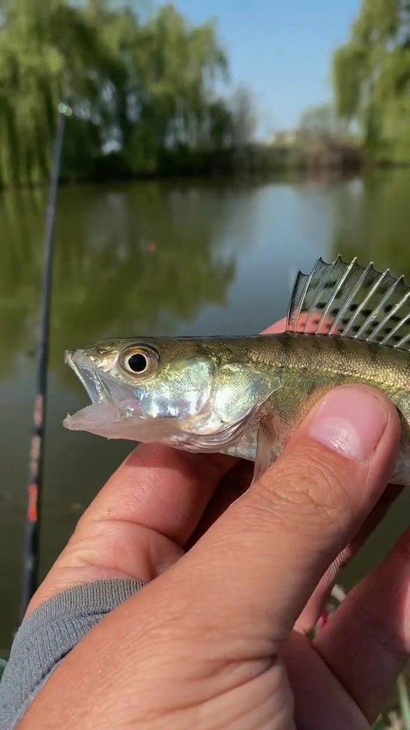 @Азиатский Странник🇰🇬🎣