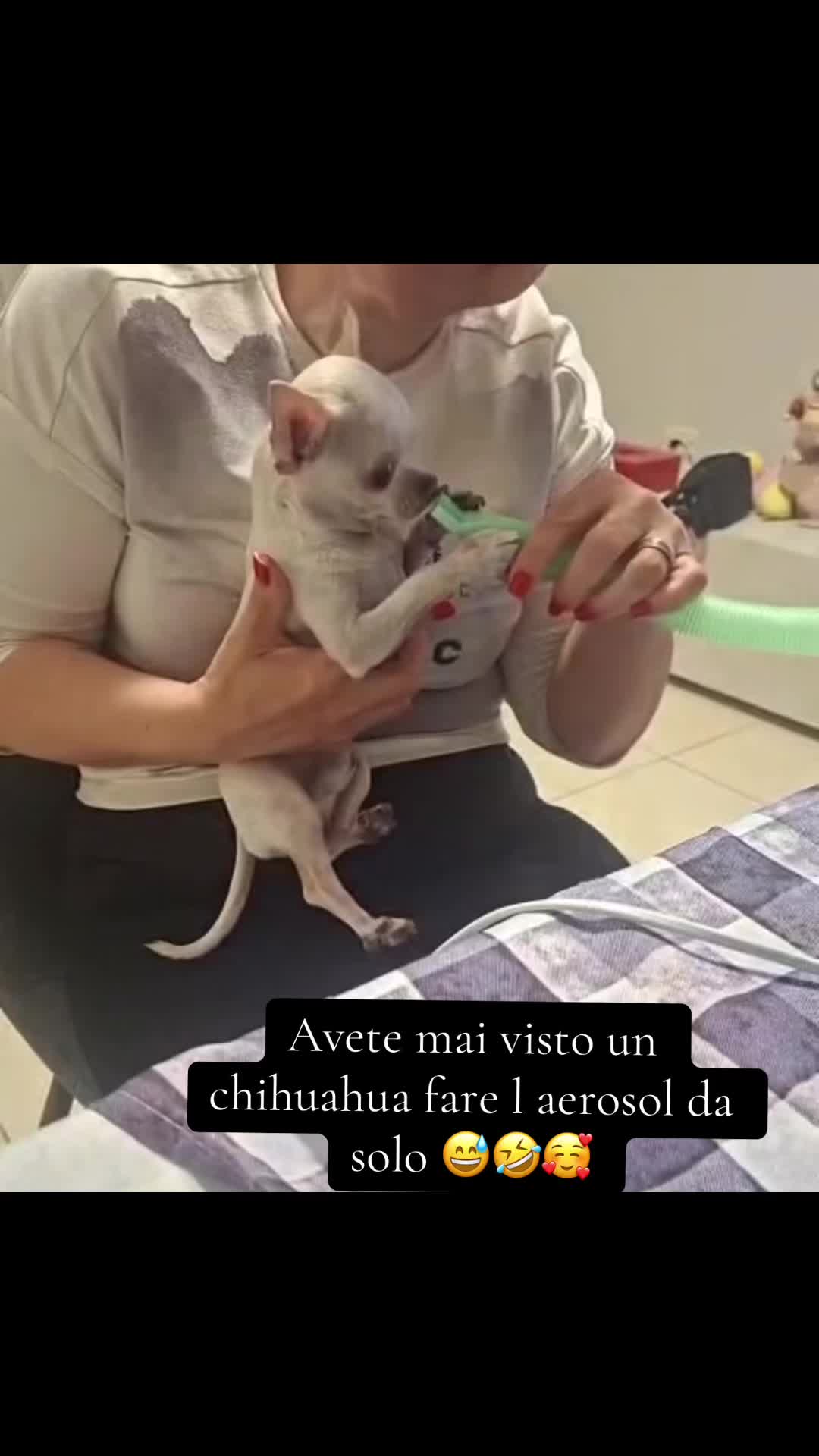 @🪽ila🪽