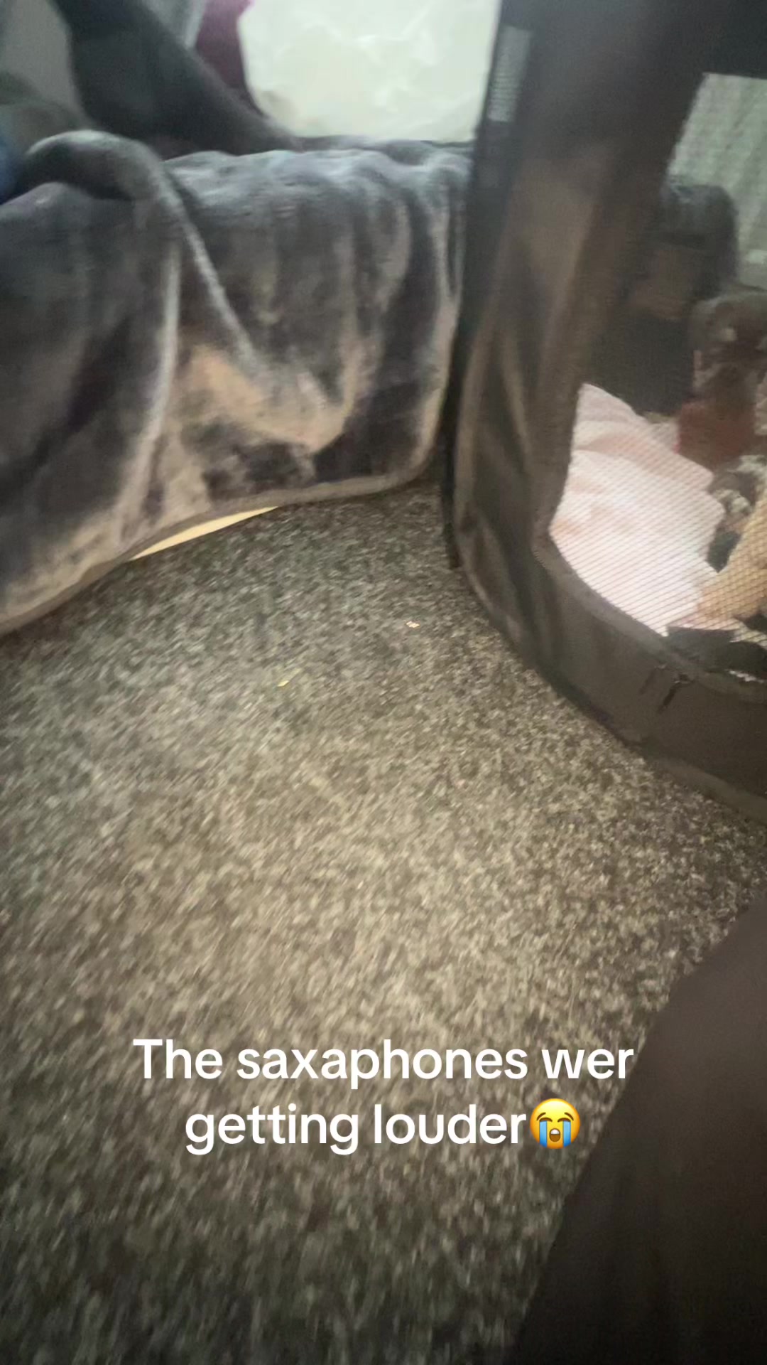 @🍃