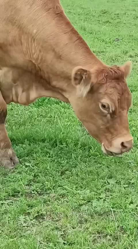 @Mäggie
