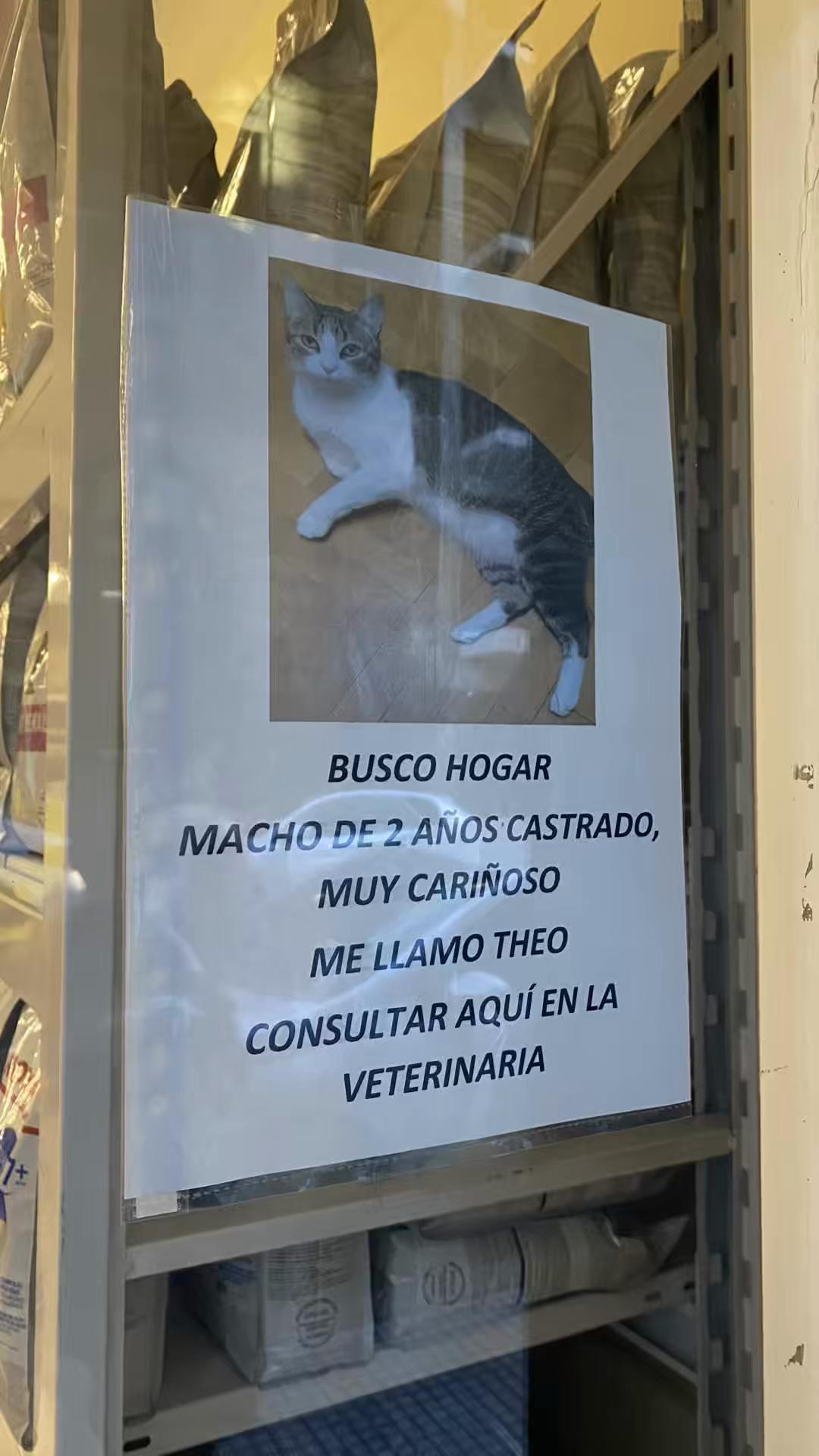 @nani 🐈&zwj;⬛