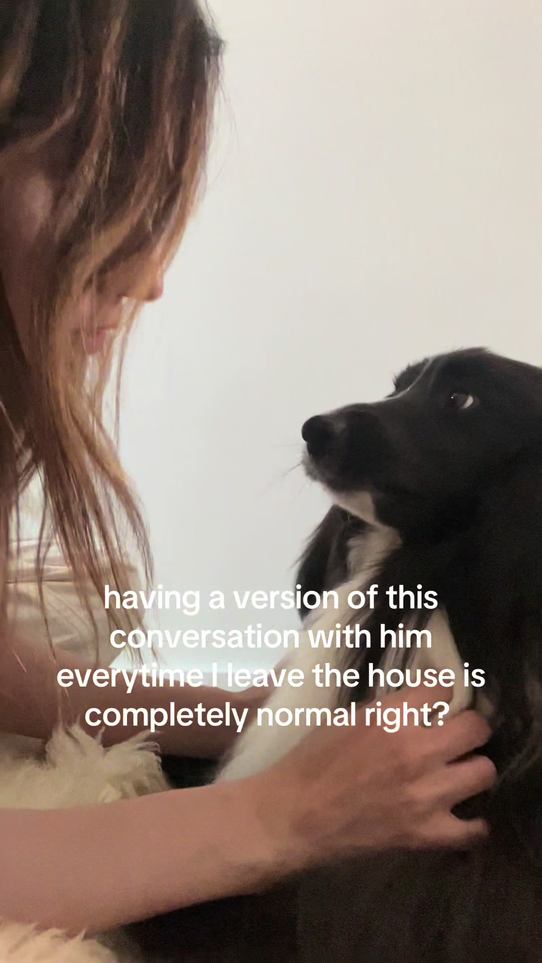 @beauthesheltie