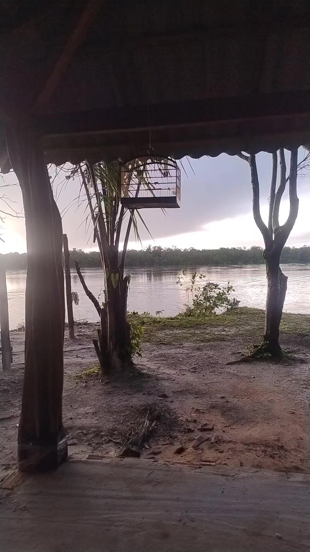 @Vivência de Passarinho