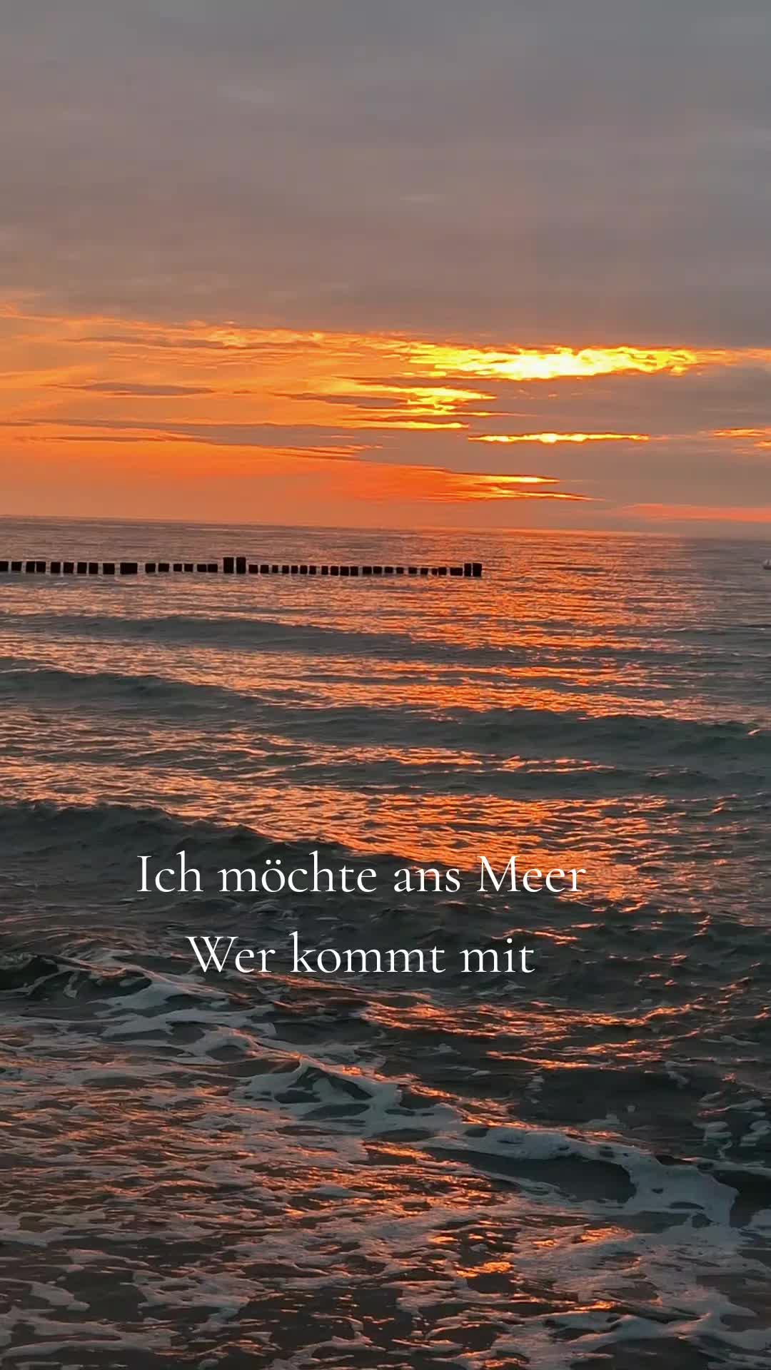 @LöwinmitriesenHerz