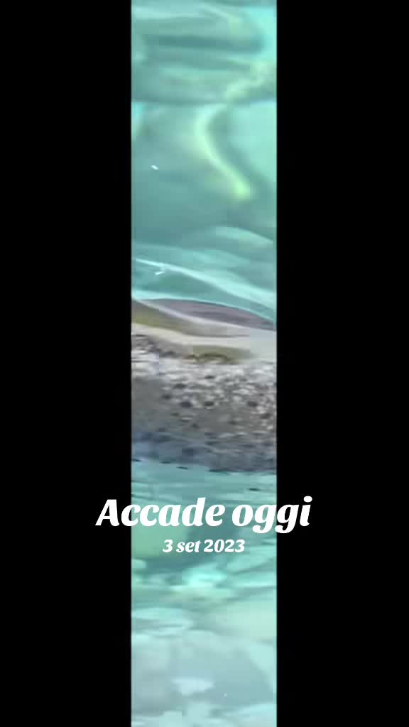 @Patrizia Signorello