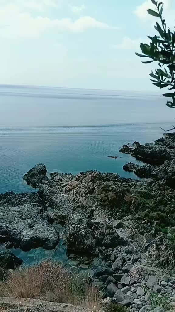@Roberta65