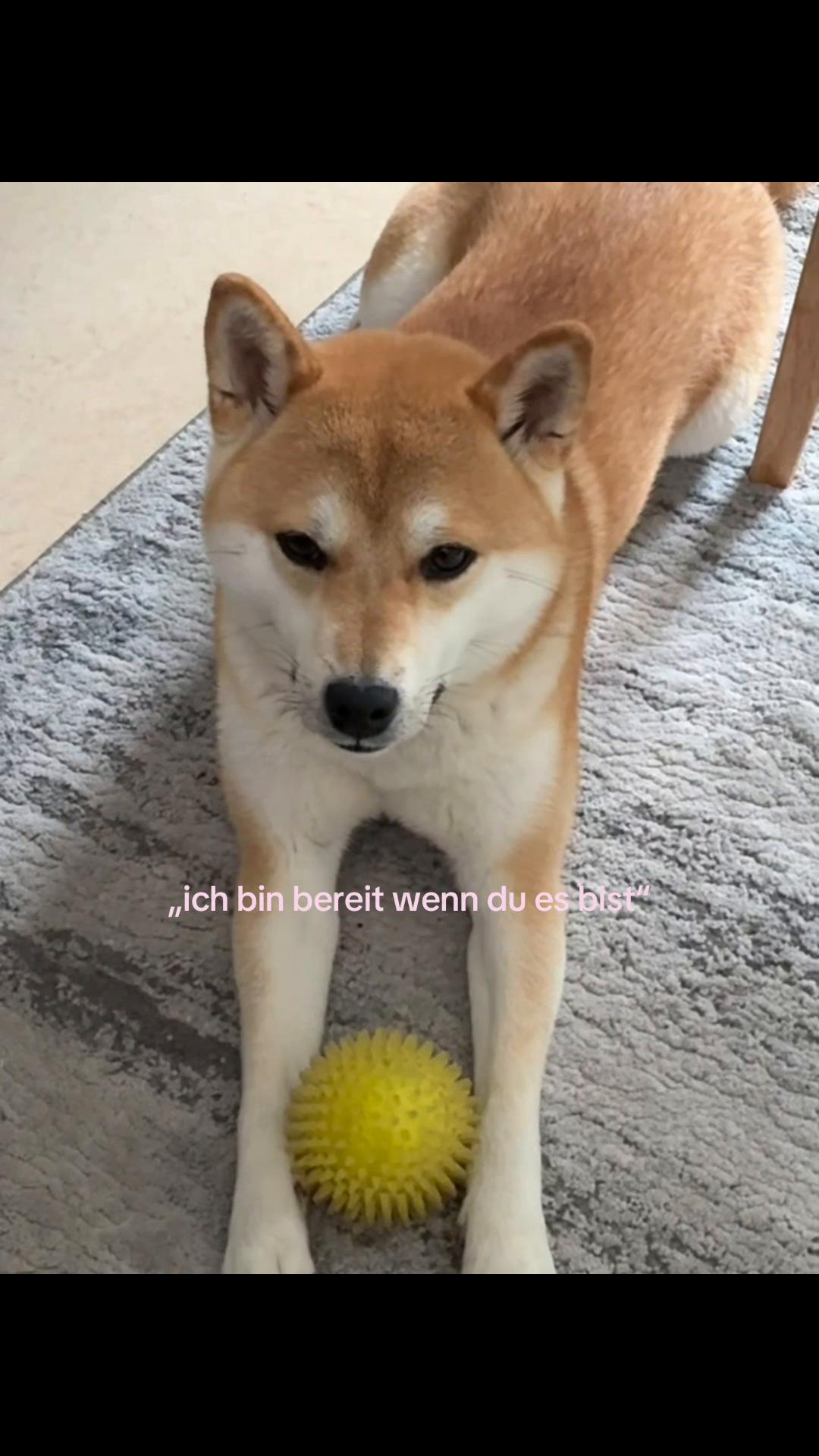 @Kayla