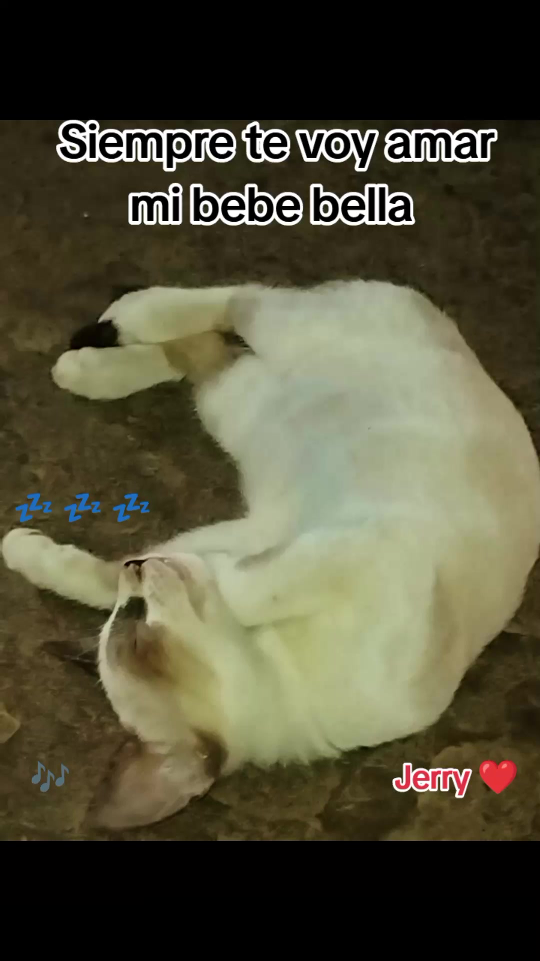 @LalolocoxD