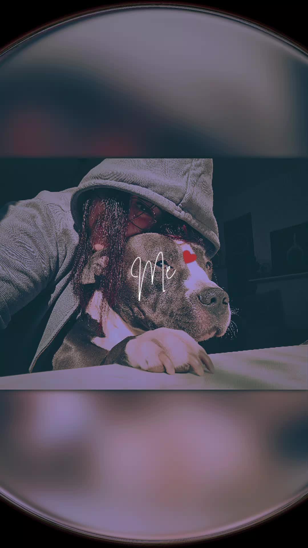 @_ankerweib_aris_