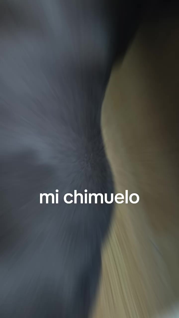 @Mirella Sedamanos
