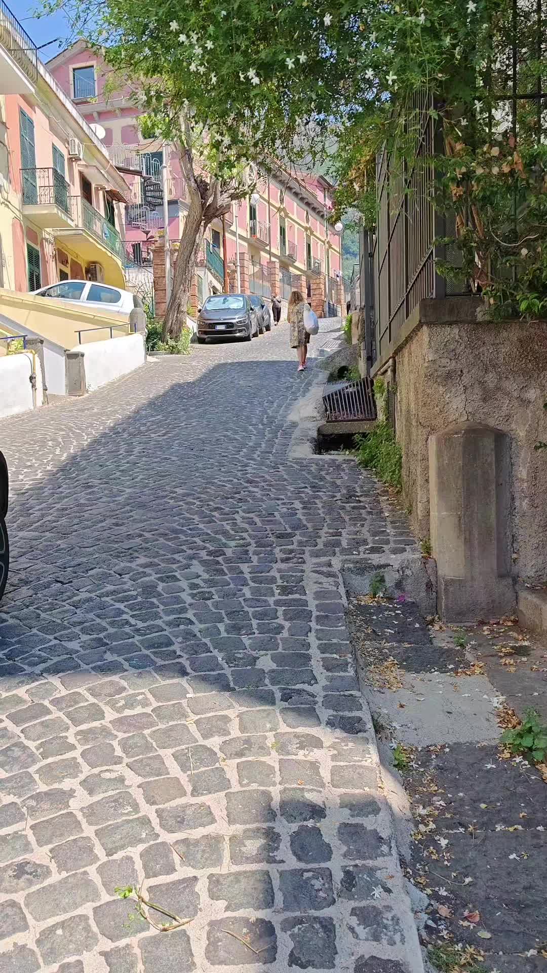 @Nicoletta 🥰