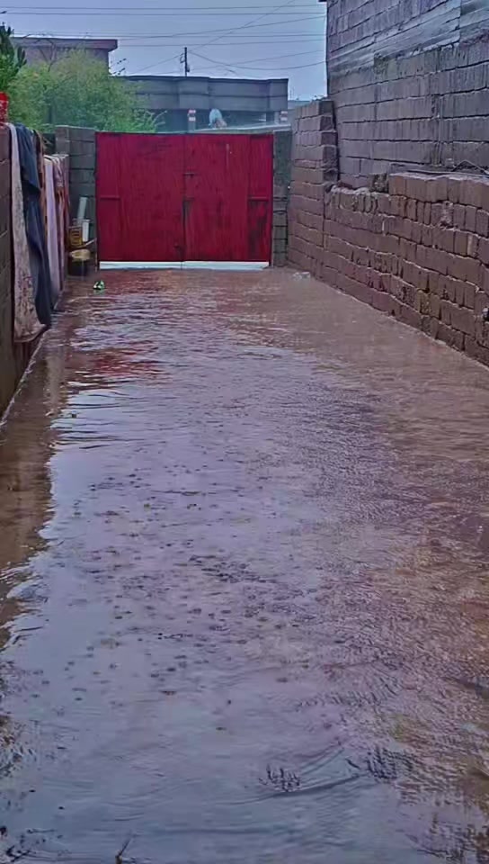 @نايف