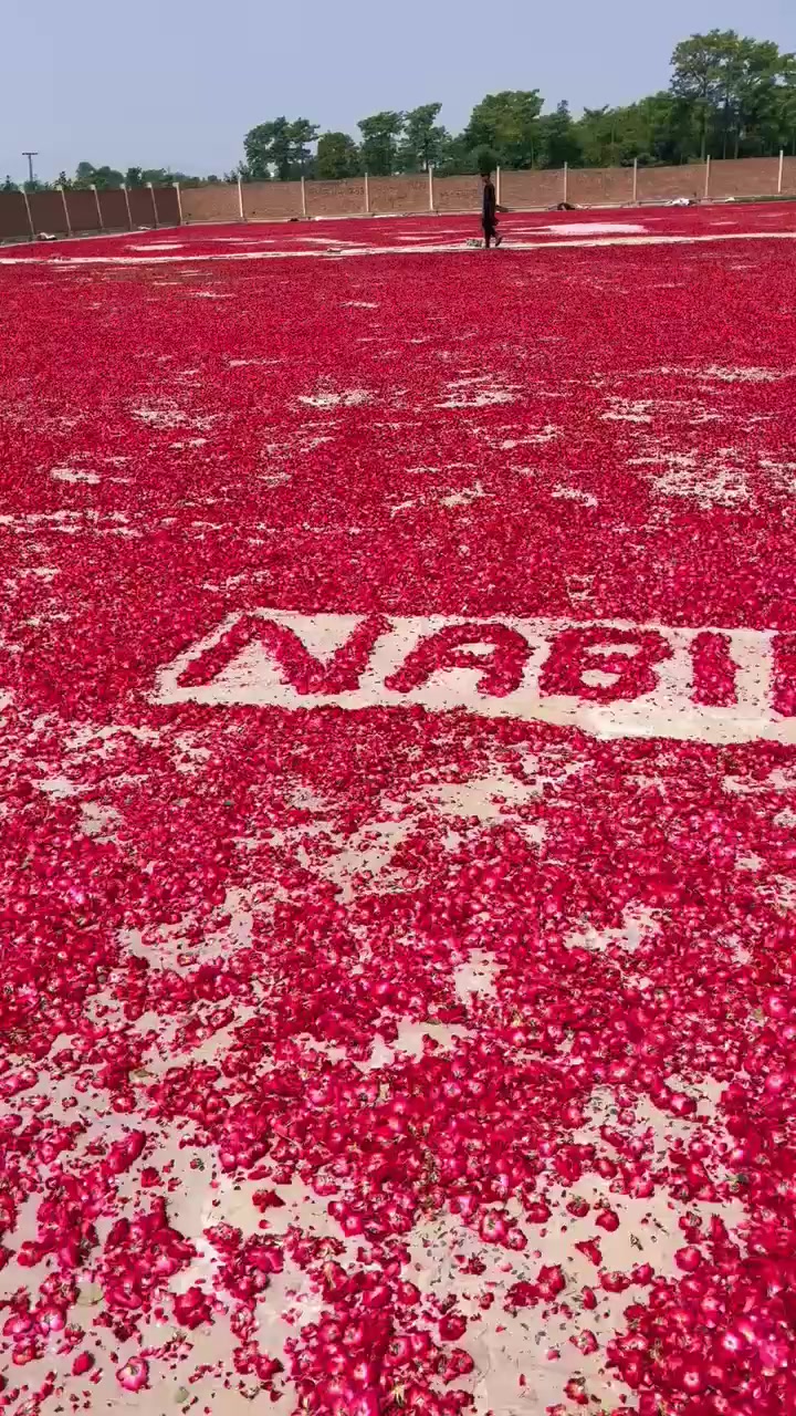 @🌷𝐒𝐇𝐀𝐍 𝐅𝐋𝐎𝐖𝐄𝐑𝐒🌷