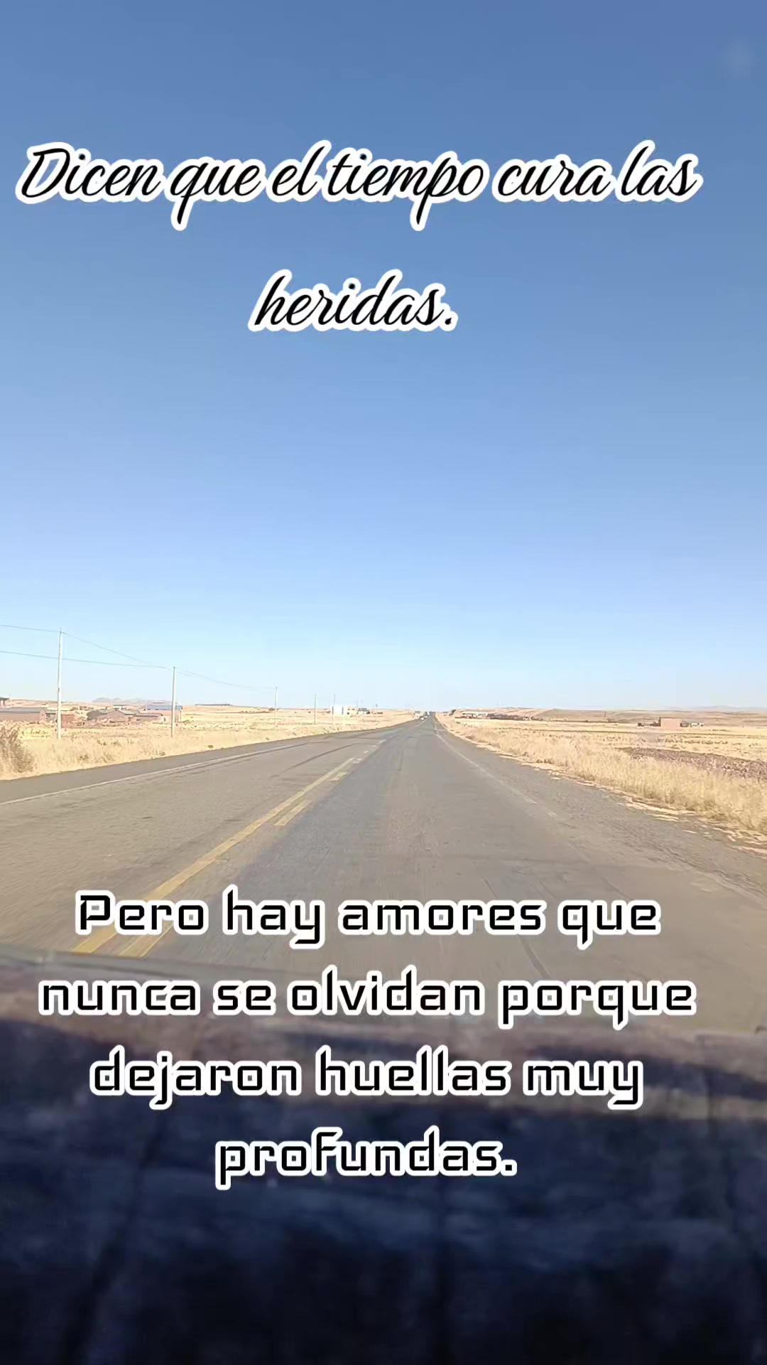 @yolisabel