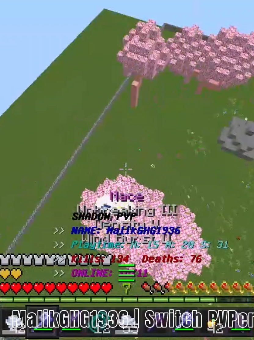 @MalikGHG1936 | Switch PVPer