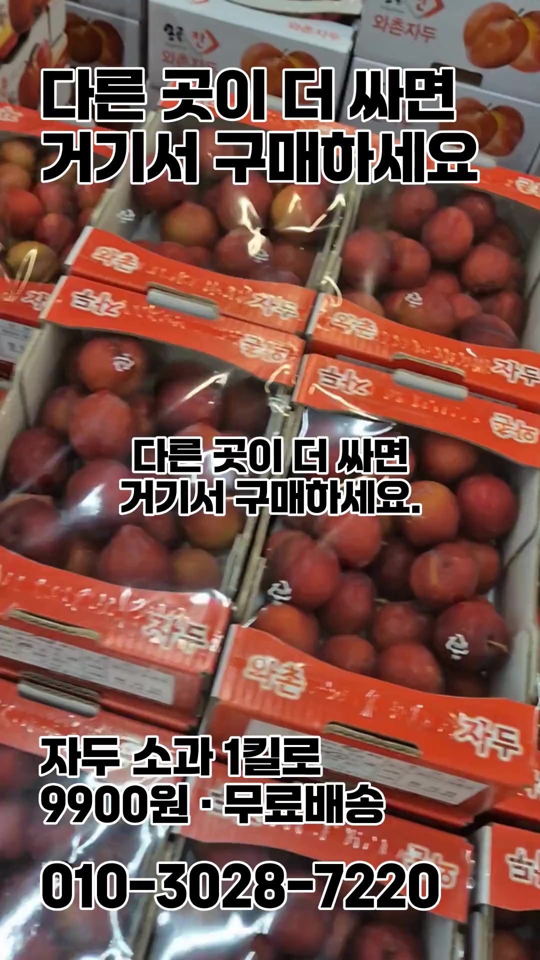 @새콤과일장터