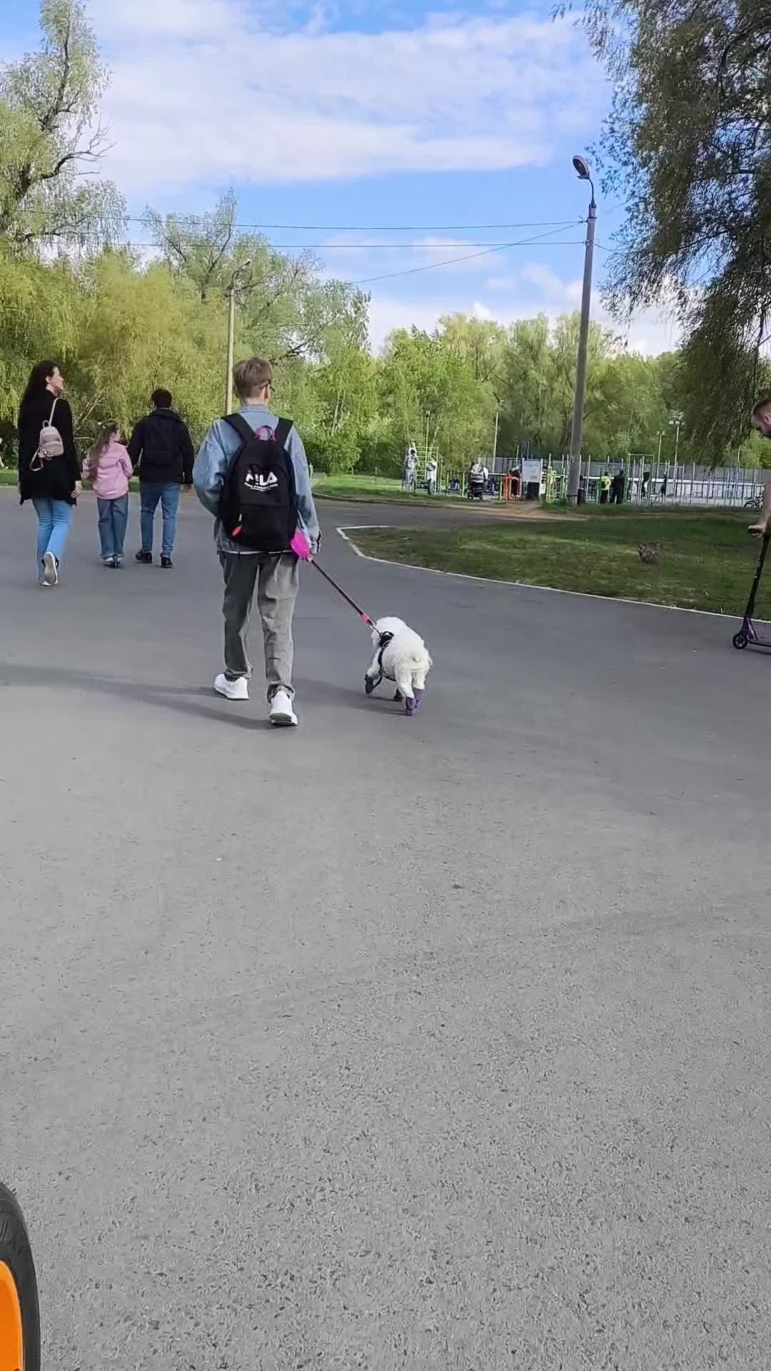 @Женя Садовая