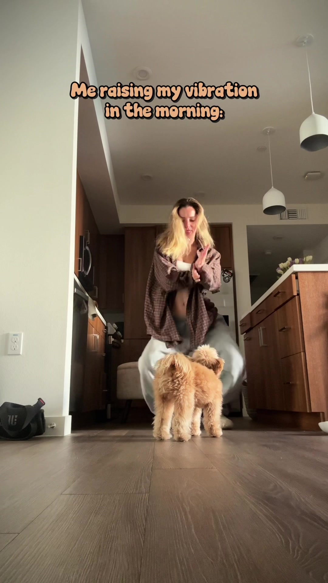 @pomapoo.barney