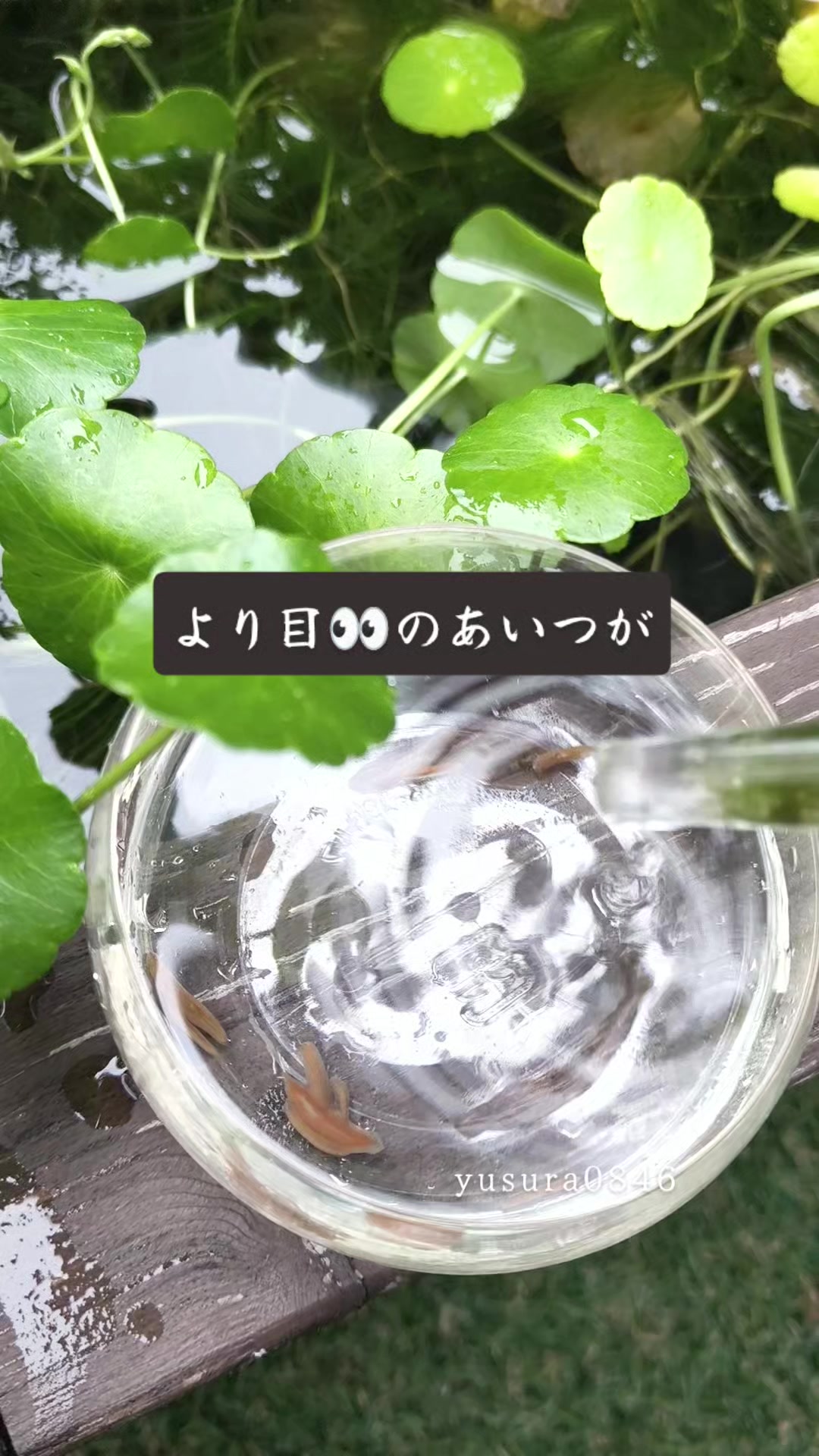 @ゆすら