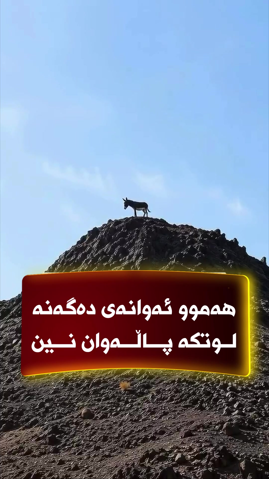 @🎤📺 𓆩جیگر هەركی𓆪 Journalist