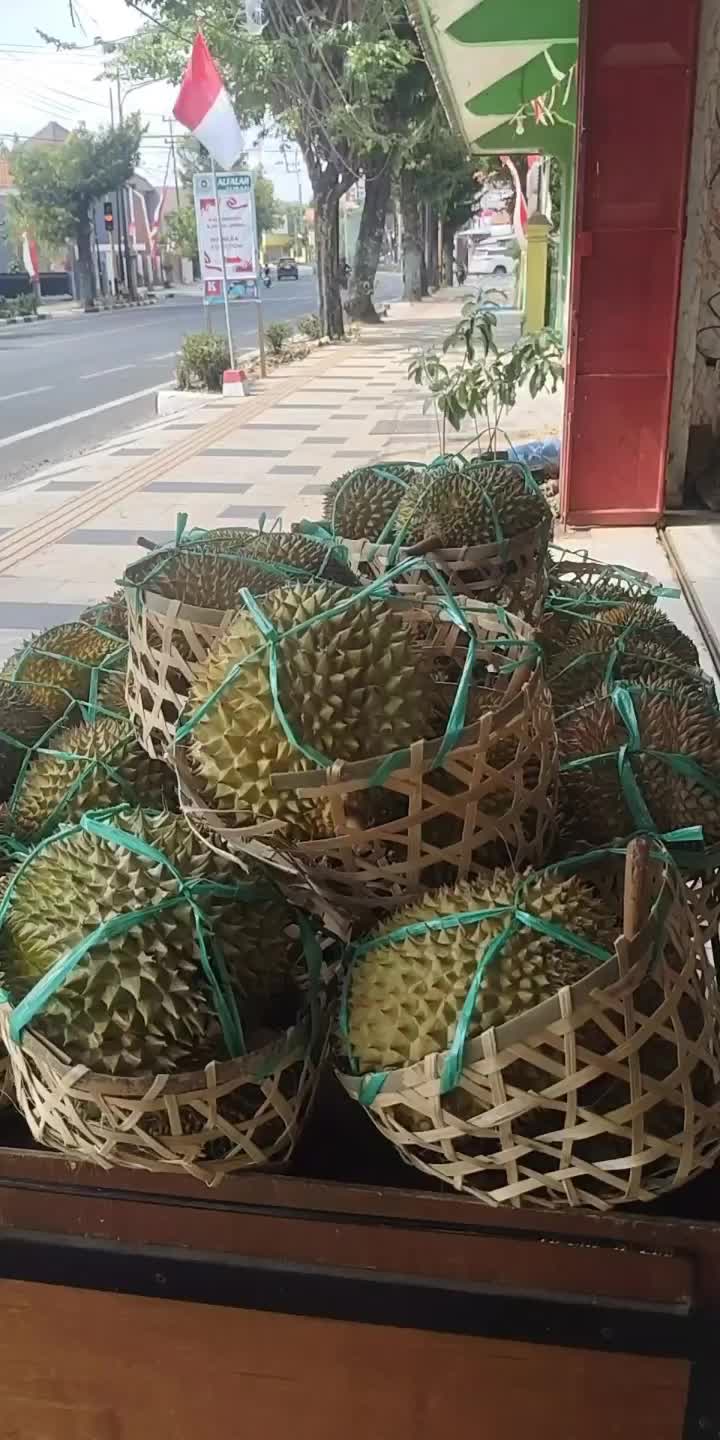 @Kenzhi Durian Tuban