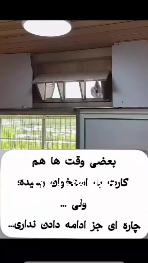 @Mohammad Hasan