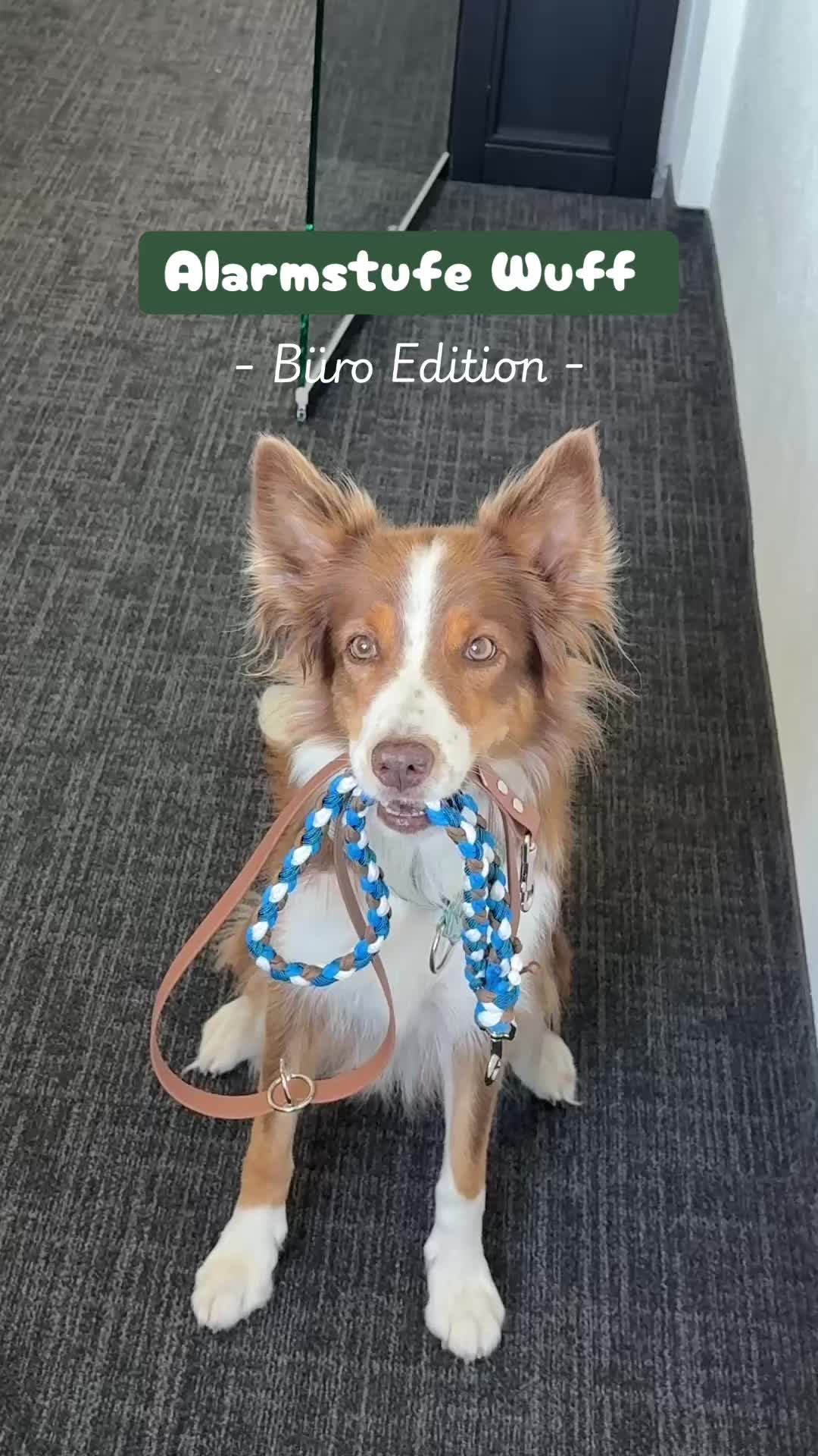 @GranataPet