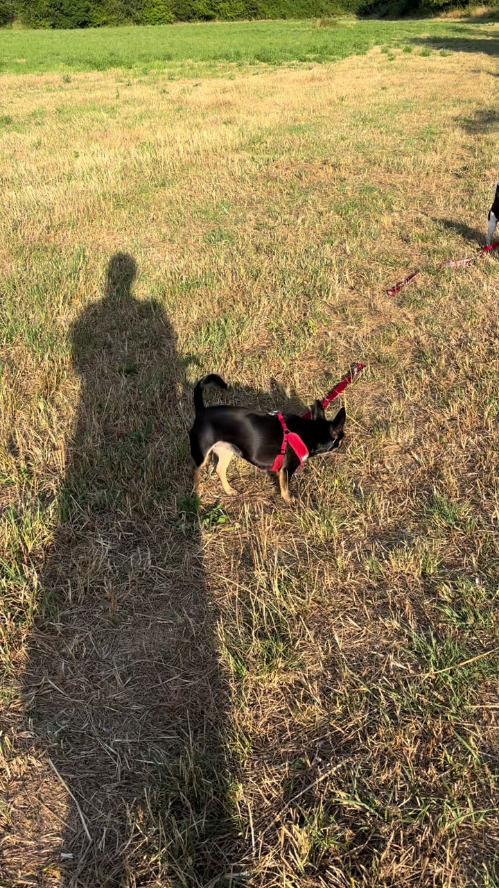 @Mo&Gi Life 🐾❤️🥰