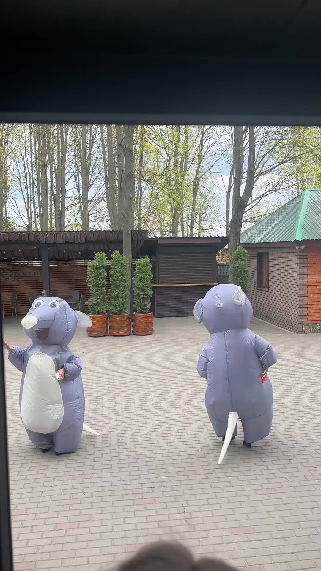 @V-Л